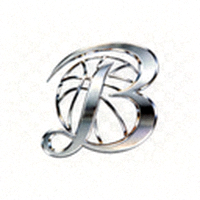 BB贝博艾弗森公司官方标志